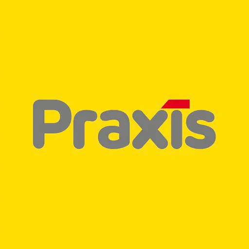 Praxis Netherlands logo